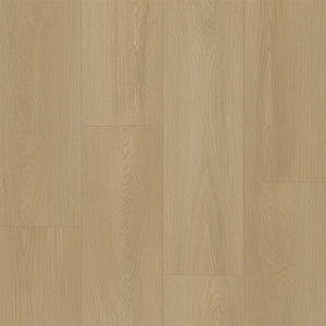 Bodiax BP300 Longa