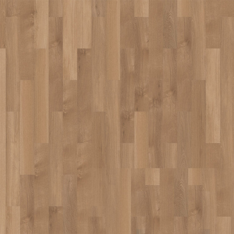 mFLOR Broad Leaf