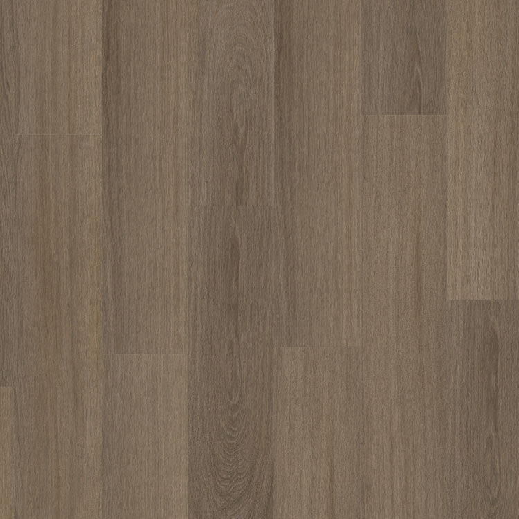 Moduleo Roots
