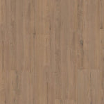 Hoomline Royal XL V2