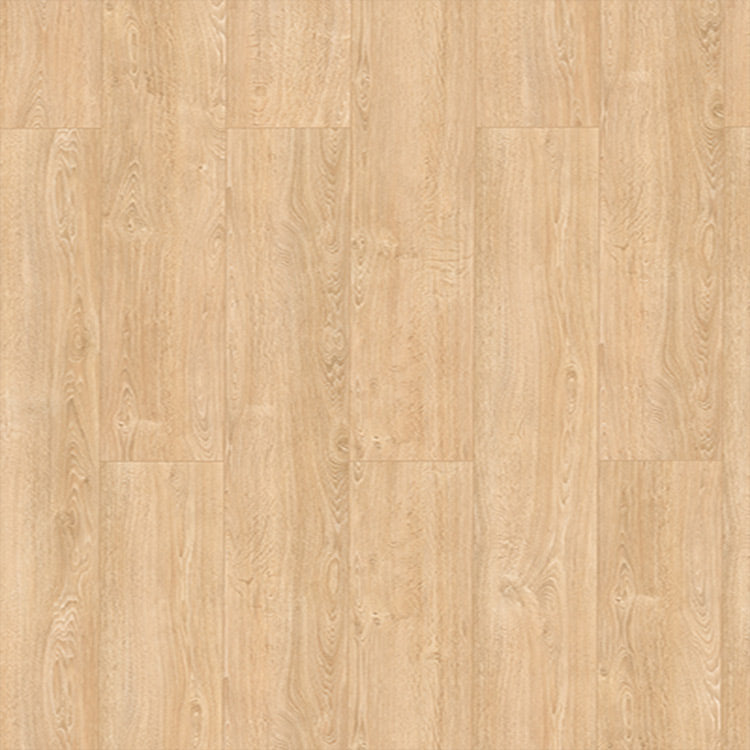 Lifestyle-interior Lungo