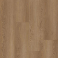 Bodiax BP370 Estrela 122 Shade