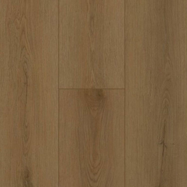 Gelasta Firmfit Rigid Click