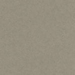 Bodiax BP565 Rock Hydro-core Click