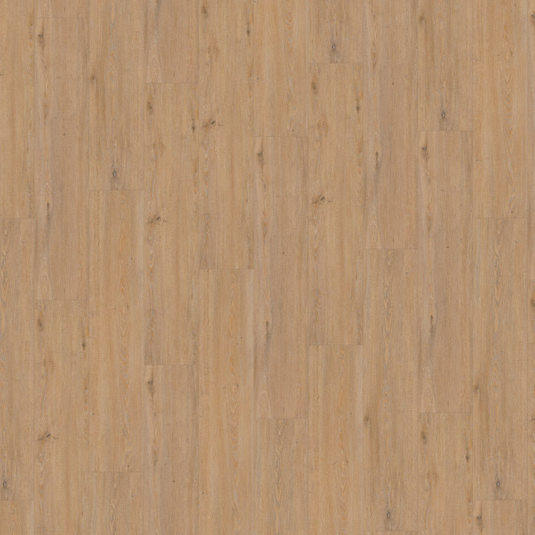 IPC Rubin XL Collectie