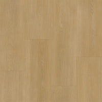 Bodiax BP590 Royal 593 Regency