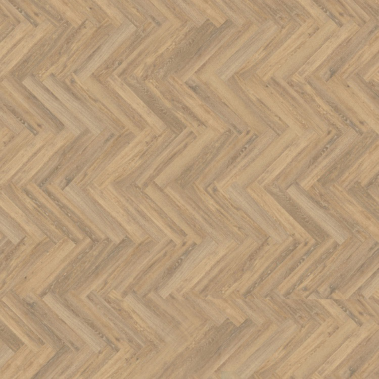 mFLOR Parva Oak