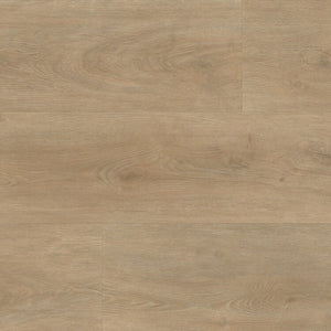 Ambiant Robusto
