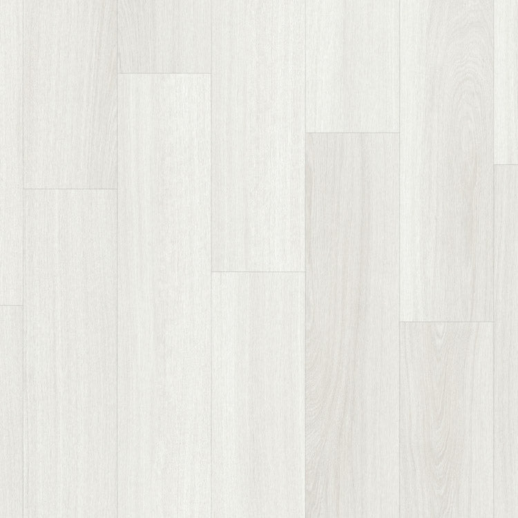 Moduleo Roots