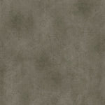 Bodiax BP565 Rock Hydro-core Click