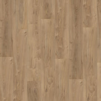 Hoomline Royal V2 755 Lazio Eik