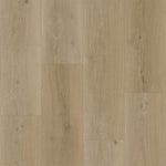 Bodiax BP500 Thor Hydro-core Click