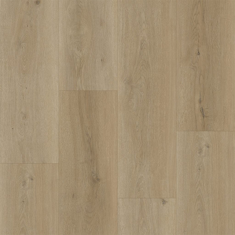 Bodiax BP500 Thor Hydro-core Click