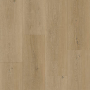 Bodiax BP300 Longa
