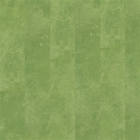 Ambiant Viretto Dryback Green