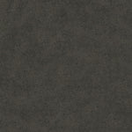 Bodiax BP565 Rock Hydro-core Click