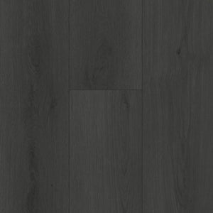Gelasta Firmfit