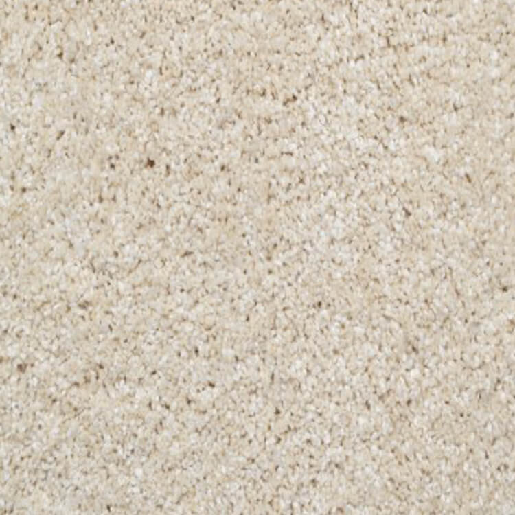 licht beige tapijt met een dichte, zachte poolstructuur en subtiele lichte accenten