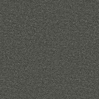 Ambiant Portland 0205 Anthracite