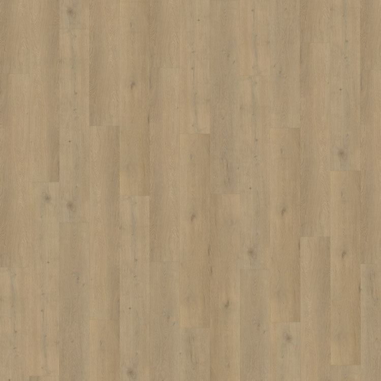 Belakos Attico Rigid Click