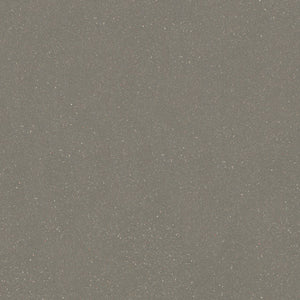 Grijs tegelvloer met fijne, subtiele zandachtige structuur en lichte en donkere spikkels in zachte taupe en beige tinten.