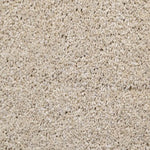 Beige tapijt met een zachte, dichtgeweven pool en een gelijkmatige, lichte zandkleurige tint.