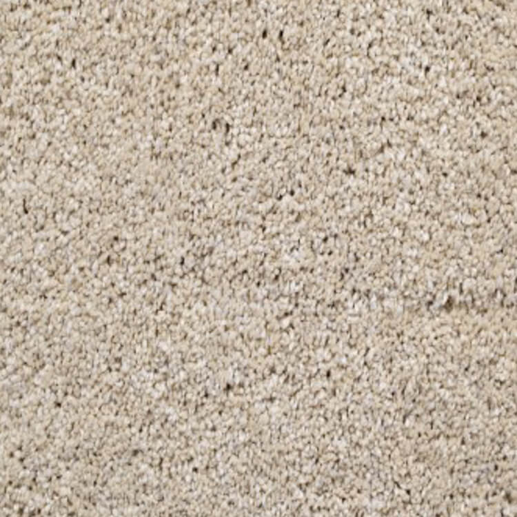 Beige tapijt met een zachte, dichtgeweven pool en een gelijkmatige, lichte zandkleurige tint.