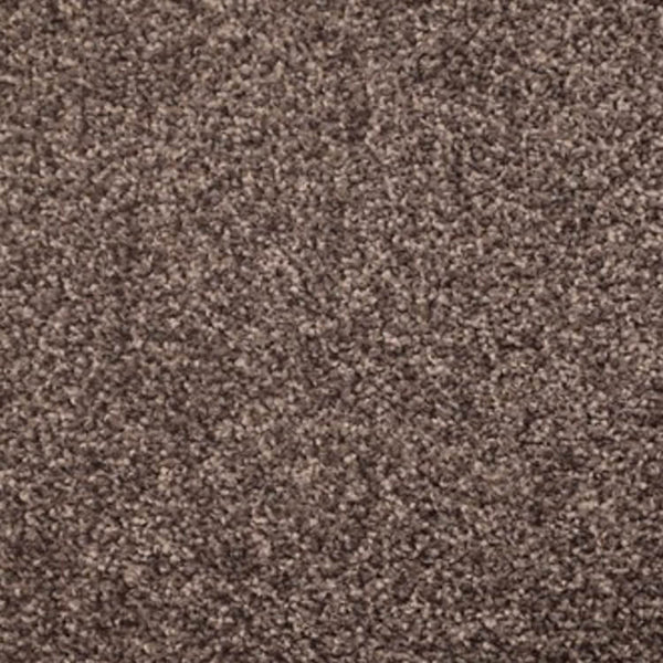 Gelasta Gelasta Xtreme SDN