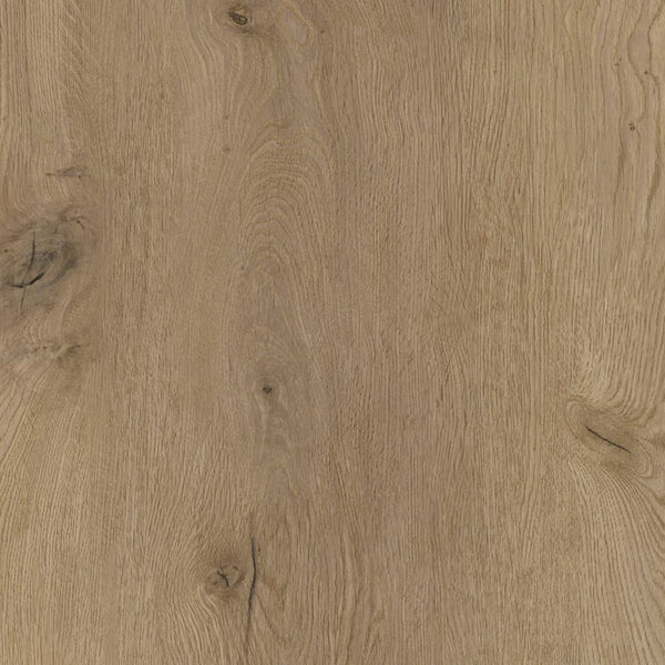 CoreTEC Original XL-END