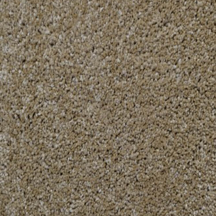 Beige tapijt met een dichte, zachte poolstructuur en een licht gemêleerde kleurtoon.