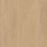 Belakos Terreno Rigid Click