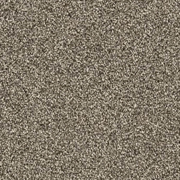 Gelasta Gelasta Xtreme SDN