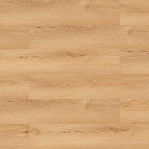 Tajima Ambiente