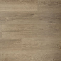 Douwes Dekker Ambitieus Riante Plank Spekkoek