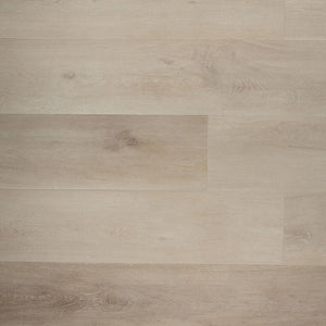 Douwes Dekker Ambitieus Riante Plank