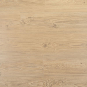 Douwes Dekker Ambitieus Riante Plank