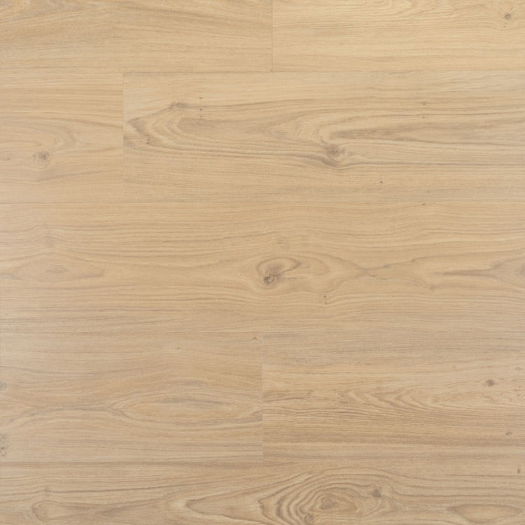 Douwes Dekker Ambitieus Riante Plank