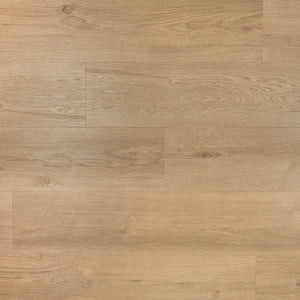 Douwes Dekker Ambitieus Riante Plank