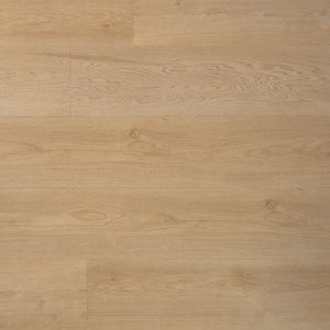 Douwes Dekker Ambitieus Riante Plank
