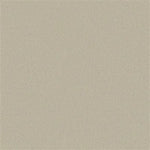 Beige tegelvloer met een fijne, gelijkmatige structuur zonder patroon, in een neutrale zandbeige kleur.