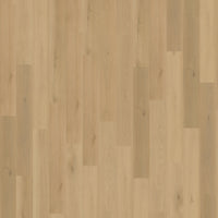 Belakos Borgo Rigid Click 300