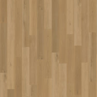 Belakos Borgo Rigid Click 320