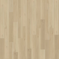 Belakos Borgo Rigid Click 330