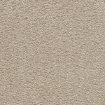 Tapijt met een dicht, zacht lussend poolstructuur in een warme beige kleur.