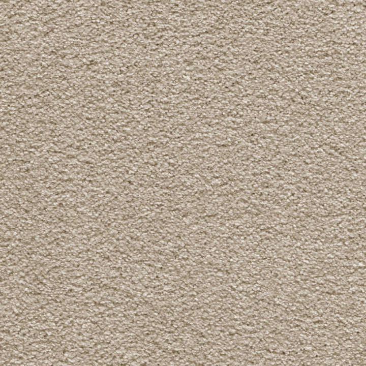 Tapijt met een dicht, zacht lussend poolstructuur in een warme beige kleur.