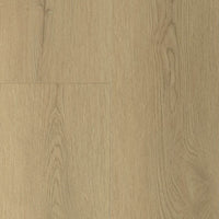 Gelasta Sierra Naturel 2003