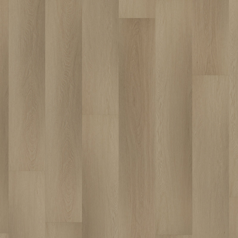 Room 5 Planks Charming Suite