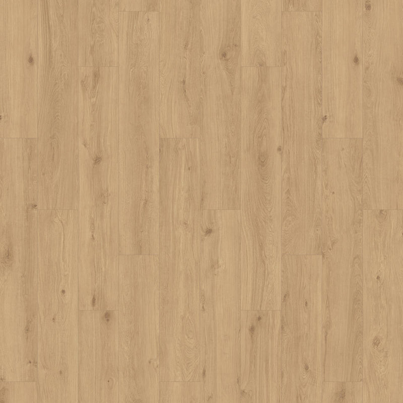Tarkett iD Inspiration 55 XXL Pure Oak Cinnamon