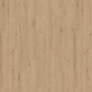 Tarkett iD Inspiration 55 XXL Pure Oak Haver