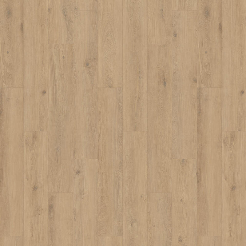 Tarkett iD Inspiration 55 XXL Pure Oak Haver